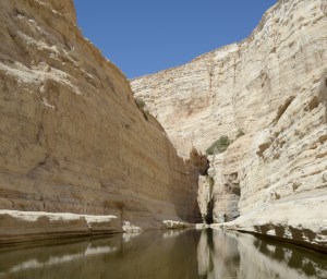 Quiet streams of Living Water in the Wilderness of the Israeli Desert. A place of rest. A place of peace. A place of refreshing.