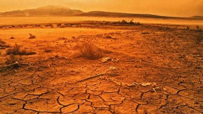 Dry bones in the dessert? God will bring life to them. He will bring life to you!